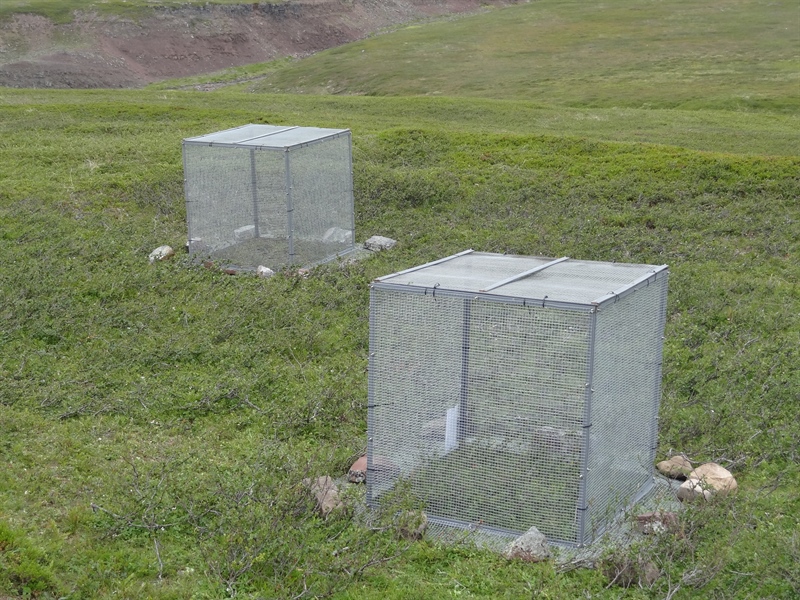 New small rodent exclosures by COAT Varanger